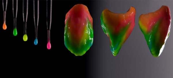 COLORS OF D.VINCI - Image 3