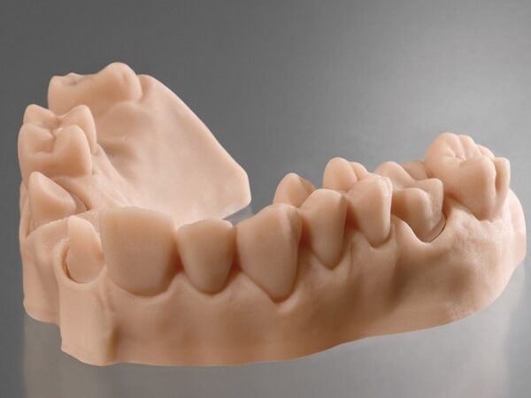 Freeprint® model - Image 2