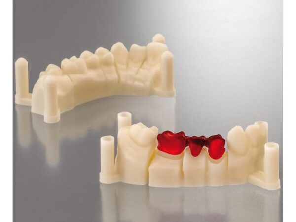 FREEPRINT® cast - Image 3